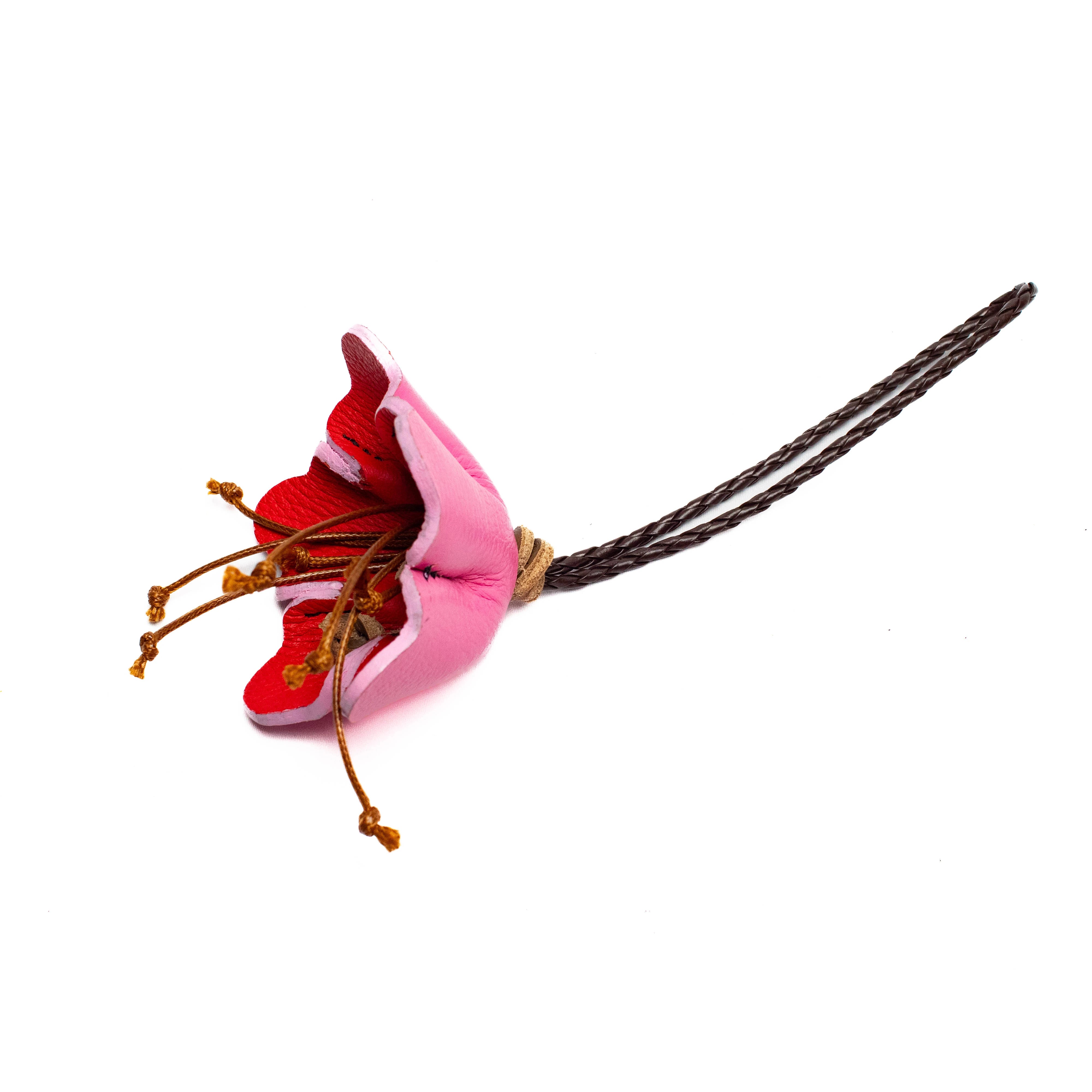 Orchidea Charm Rosa