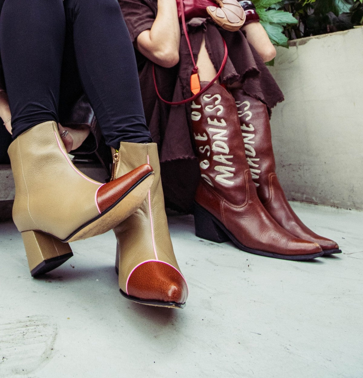 DC shoes DIVINA CASTIDAD